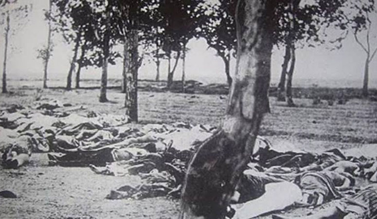 মুক্তিযুদ্ধে বাংলাদেশের প্রায় ৩০ লক্ষ ভুমিপুত্র হ/ত্যা করেছে পাকিস্থানিরা, এটা বিশ্বাস করতে তোমাদের কষ্ট হয় কেন?