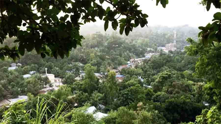 জঙ্গল সলিমপুরে পুলিশ ফাঁড়ির খাবার পানিতে বিষ: নাশকতার শঙ্কা, নমুনা পাঠানো হলো ল্যাবে