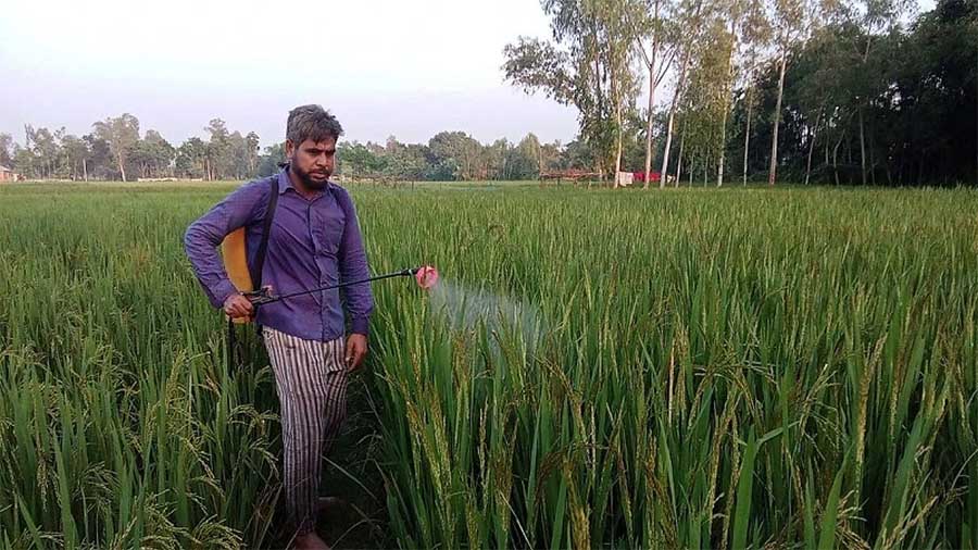 মার্কিন বাণিজ্য চুক্তির থাবা কৃষিতে: দেশীয় হাজারো প্রতিষ্ঠানকে ডিঙিয়ে বালাইনাশক সরবরাহ করবে মার্কিন কোম্পানি