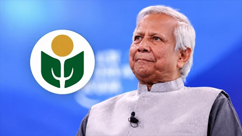 ইউনূসের প্রতিষ্ঠানের কর ফাঁকির ‘ধ্রুপদী নজির’: হাইকোর্টের রায় পর্যবেক্ষণে আওয়ামীলীগ আমলে দেয়া রায়ের প্রতিফলন